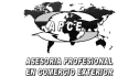 logo de asesoria profesional en comercio exterior