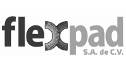 logo de flexpad