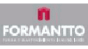 Forma y Mantenimiento Inmobiliario de México, FORMANTTO