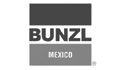 logo de Bunzl de Mexico