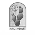 logo de nopal export