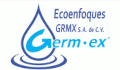 logo Ecoenfoques GRMX