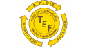 logo Todo En Flexografia