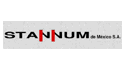 logo de Stannum de México