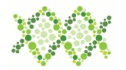 logo Moléculas Finas de México
