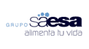 logo de Grupo Saesa