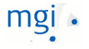 logo Mgi Bargalló Cardoso y Asociados