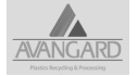 logo de Avangard Mexico