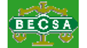 Básculas y Estufas Comerciales, S.A. de C.V. BECSA