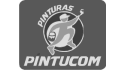 logo de Pintucom