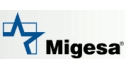 logo Microsistemas Gerenciales