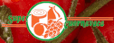 logo Super Cuernavaca