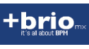 logo de Brio Software México