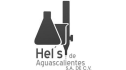 logo de Hel's de Aguascalientes