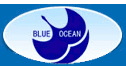 logo Ningbo Blueocean Auto Parts Co.