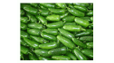 logo Agro Allende