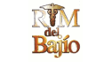 logo de Royal Medical del Bajío