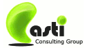 logo CASTI Consulting Group
