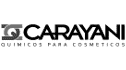 logo de quimica carayani