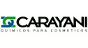 logo de Química Carayani