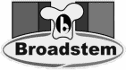 logo de productos broadstem