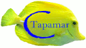 logo de Comercial Tapamar 2008 S.L.