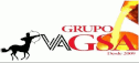logo Grupo Vagsa