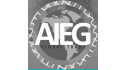 logo de AIEG Global Trade