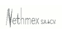 logo de nethmex