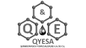 logo de quimiservicios y especialidades