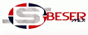 logo de Beser Mex