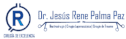 logo Gastrocirugía en CDMX Dr. Jesús Rene Palma Paz