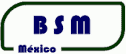 logo BSM Cargo