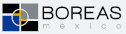 logo de Grupo Industrial Boreas S.A. De C.V.